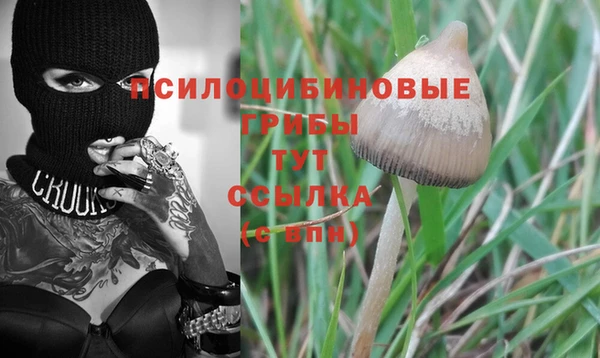 кокс Навашино
