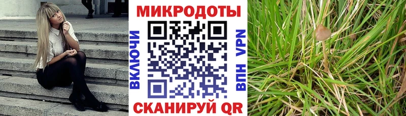 наркотики  Николаевск  Галлюциногенные грибы GOLDEN TEACHER 